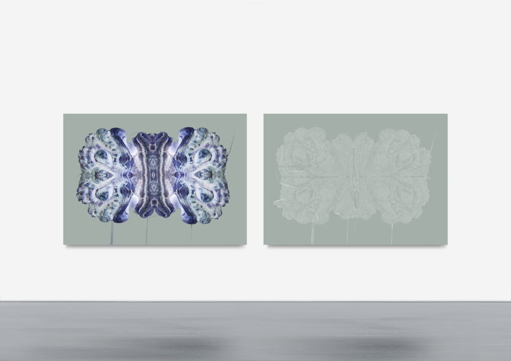 Jasper | Solid+Memory by Jeff Gwegan